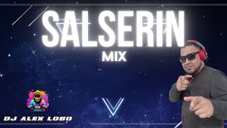 SALSERIN MIX  Dj Alex Lobo De sol a sol Un amor como el nuestro Yo sin ti Bebe salsero [upl. by Arrik]