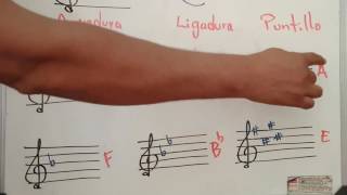 Cómo leer partitura fácil y rápido 3 TUTORIAL Obeth Toledo [upl. by Asseniv]