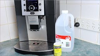 Homemade Coffee Descaler  How to video [upl. by Haelak]