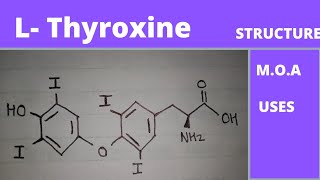 mechanism of action of lthyroxine  uses of l thyroxine  laevo thyroxine  thyroid drugs [upl. by Morel]