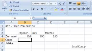 Kurs Excel 2007 Dla Początkujących Część 1 [upl. by Nyvets]