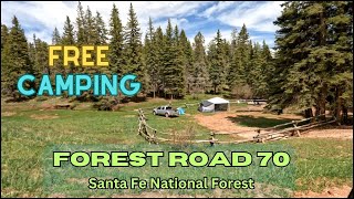 FREE Camping Boondocking Dispersed Camping FR 70 in Santa Fe National Forest New Mexico [upl. by Klenk]