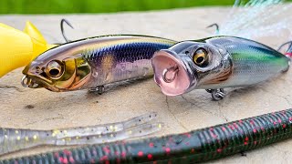 Bait Finesse Tricks For Spring And Summer Bass Fishing  Karashi Popper Soft Jerkbait [upl. by Ardnikal]