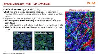 EN IVIM Technologys IntravitalMicroscopyPresentation [upl. by Annoval164]