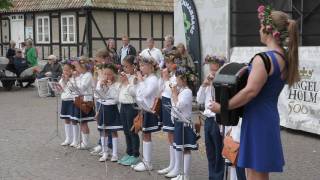 Lergöksorkestern och Engelholm marching band lockade stor publik i Ängelholm [upl. by Adnuhs]