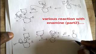 Stork Enamine reaction part 1 [upl. by Ssyla]