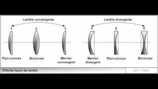 Lentile [upl. by Aufa]