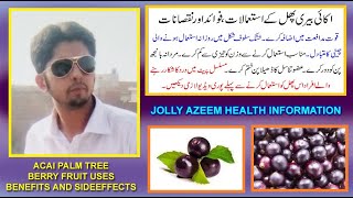 acai berry fruit kay fayday aor nuqsanat urduhindi  acai palm fruit uses benefits and sideeffects [upl. by Assirrak]