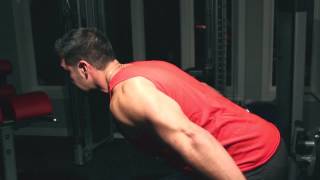 Isometrics for MASS 90 Seconds To Thicker Triceps [upl. by Imena261]