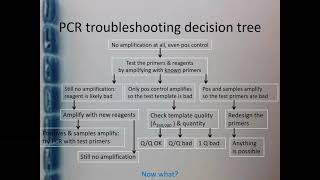 PCR amp qPCR Troubleshooting  Part 4 [upl. by Wakeen]