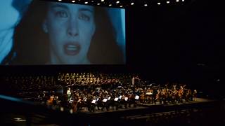 The Lord of the Rings in Concert  Evenstar  LIVE [upl. by Nnylannej620]