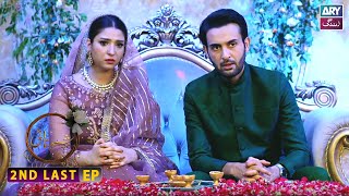 Shehnai 2nd Last Episode 25  Affan Waheed  Ramsha Khan  ARY Zindagi [upl. by Inoliel484]