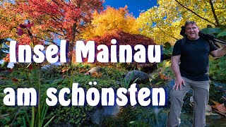 Schönste Insel Wenn sie in allen Farben leuchtet I Die Insel Mainau zu ihrer schönsten Jahreszeit [upl. by Joab]