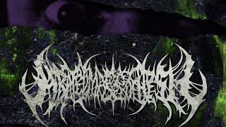 Abated Mass of Flesh  Enfleshed Single 2021 [upl. by Ahseram870]