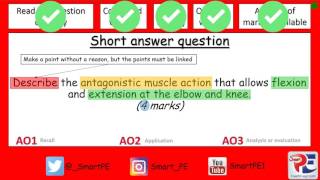 GCSE PE Antagonistic Muscle Action [upl. by Fagaly]