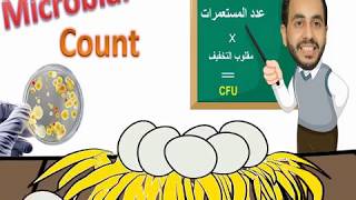 Microbiology Microbial Count enumeration  عد الميكروبات في العينات [upl. by Frida]