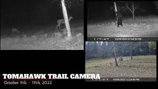 Tomahawk Trail Camera Oct 9 to 19 2023 [upl. by Eenaffit544]