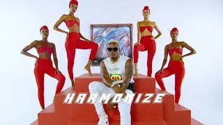 Harmonize x Rayvanny  Paranawe Official Video  COVER [upl. by Caspar]