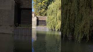 punting  Cambridge  🛶 [upl. by Osicran]