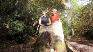 PART 2 Linville Gorge GRAND LOOP with the Hickery Brothers [upl. by Eleanor261]