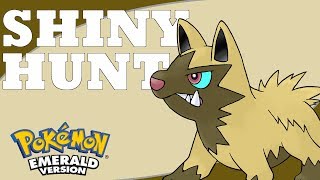 Shiny Poochyena at 31 Encounters  Pokemon Emerald Shiny Badge Quest Shiny 2 [upl. by Noiz]