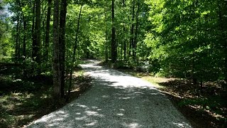 8185 Kelly Bridge Road Dawsonville GA Property For Sale [upl. by Wixted]