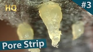 3 Pore Strip Close up  Blackheads Removal [upl. by Pasahow]