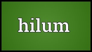 Hilum Meaning [upl. by Howland323]