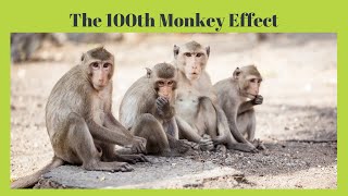 The 100th Monkey Effect [upl. by Htenywg]