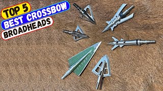 Best Crossbow Broadheads for 2024  Top 5 Crossbow Broadhead Reviews [upl. by Ellehctim168]