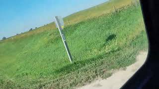 pov riding on a farm tractor for the first time it is awesome [upl. by Canning213]