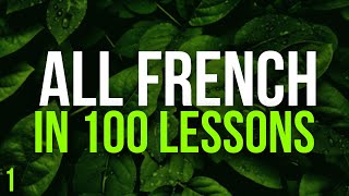 All French in 100 Lessons Learn French Most important French phrases and words Lesson 1 [upl. by Nonad]