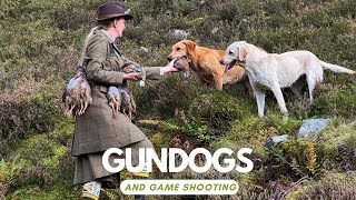 Driven shooting in the UK partridge pheasant and duck with Gundogs [upl. by Zerimar]