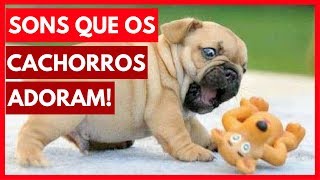 SONS que os cachorros ADORAM ouvir Assista com seu cÃ£o [upl. by Assiren727]