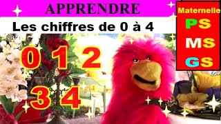 Apprendre les chiffres en maternelle petite et moyenne section de 0 à 4 [upl. by Beverie]