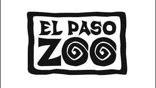 El Paso Zoo and Botanical Gardens Full Tour  El Paso Texas [upl. by Jeunesse]