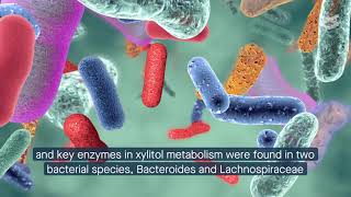 Xylitol Enhances Synthesis of Propionate in Colon via Cross feeding of Gut Microbiota [upl. by Bronnie]