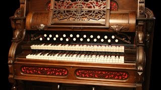 Toccata amp Fugue in D Minor  Bach  1910 Dominion Orchestral Reed Organ [upl. by Eltsirk904]