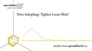 How to Get Rid of Loose Skin  Does Autophagy Tighten Loose Skin  Explained [upl. by Kornher]