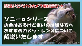 間違いだらけのカメラ機材選びch 「ソニーαシリーズお金はあるけど重いのは嫌な方へおすすめカメラ・レンズについて解説いたします」 [upl. by Notsek]