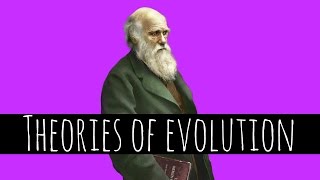 Theories of Evolution  Charles Darwin and Natural Selection  GCSE Biology [upl. by Nerret125]