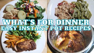 EASY AND DELICIOUS INSTANT POT RECIPES 🍗  WHATS FOR DINNER 😍 FALL COOKING 🍽  DISHING DELIGHTS ✨ [upl. by Asaert434]