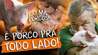 ESSA GRANJA PRODUZ 100 MIL PORCOS POR ANO  RICHARD RASMUSSEN [upl. by Tayyebeb761]