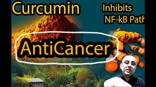 Curcumin Turmeric N1 Anticancer Supplement [upl. by Rhiana]