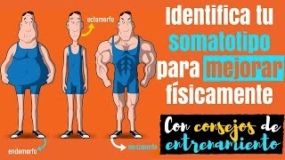 Identifica tu somatotipo para mejorar físicamente Con consejos de entrenamiento [upl. by Lihkin756]