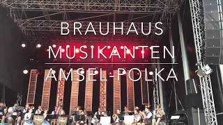 Brauhaus Musikanten  AmselPolka Woodstock der Blasmusik 2018 [upl. by Ihculo]