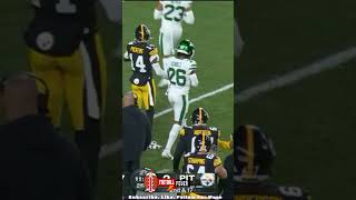 George Pickens INSANE CATCH [upl. by Remliw]