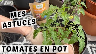 🍅 PLANTER LES TOMATES CERISES EN POT  MES ASTUCES POUR UNE PLANTATION RÉUSSIE  TUTO JARDINAGE [upl. by Mehs]