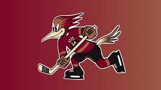 Tucson Roadrunners Custom Goal Horn [upl. by Odraccir]