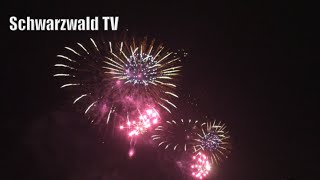 🎆 1 AugustFeuerwerk 2024 in Basel 🎆 Großes 1 AugustFeuerwerk über dem Rhein [upl. by Misty]